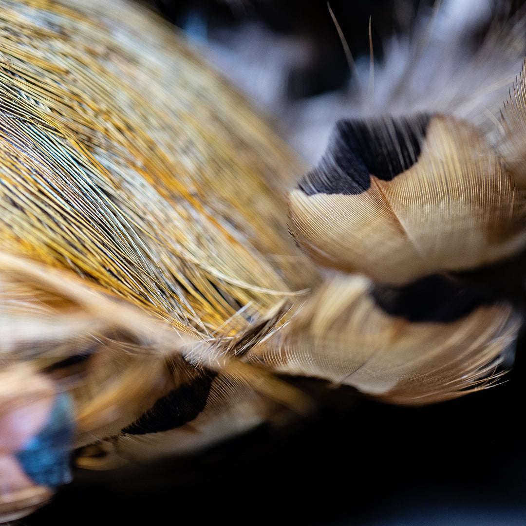 Pheasant Wings