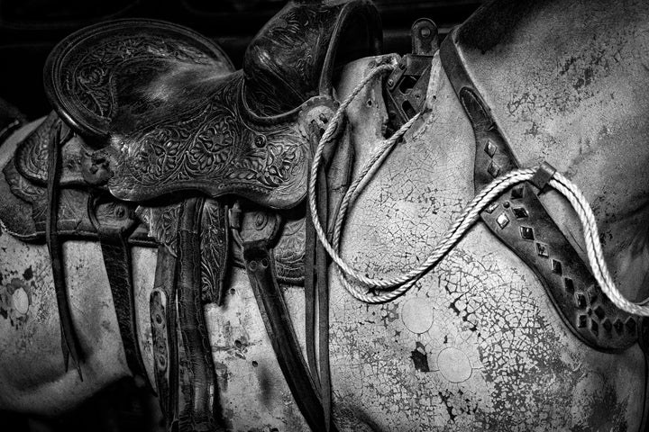 Ride Me For A Quarter BXW