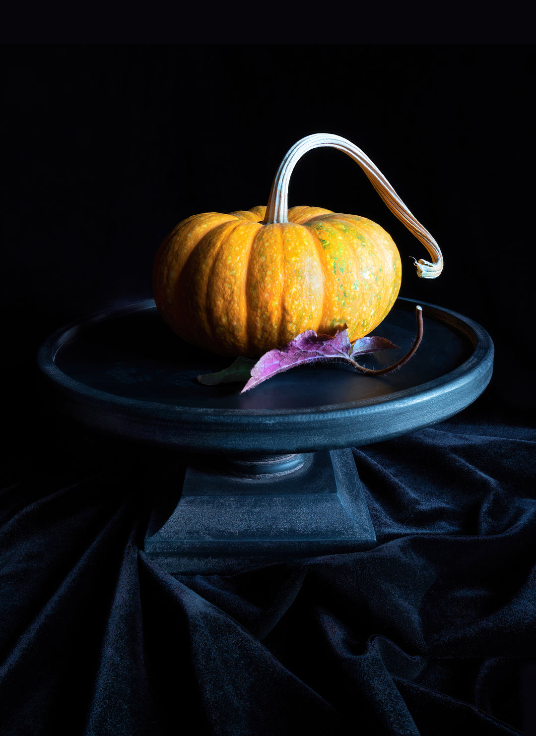 Quiet Harvest
