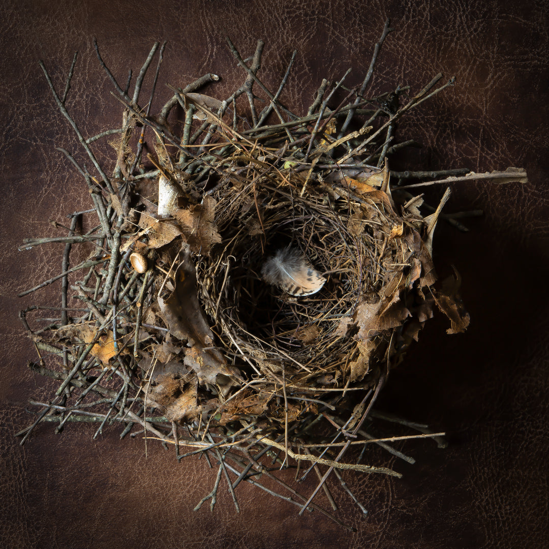 Divine Nest